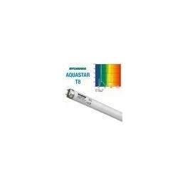 T-8 25W AKUASTAR SILVANIA 155006